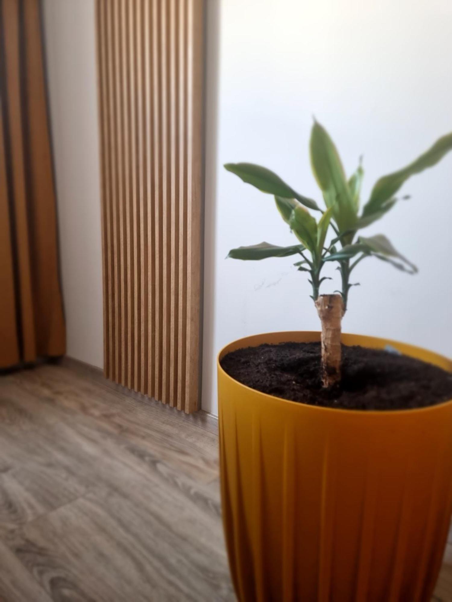Apartament Lux Lemon Єленя-Ґура Екстер'єр фото